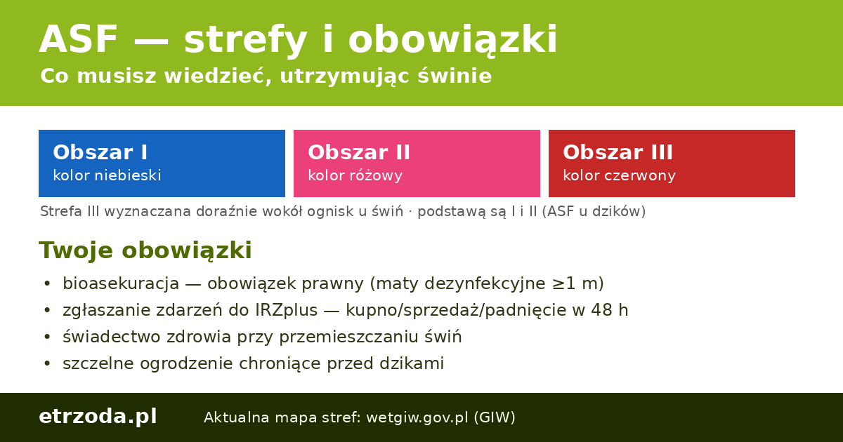 ASF 2026 — strefy I/II/III i obowiązki posiadacza świń