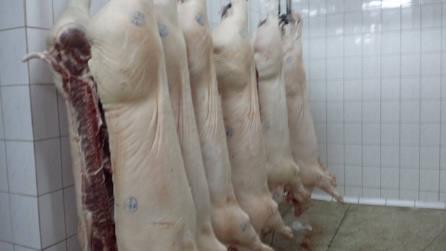  Informacja w sprawie wznowienia eksportu mięsa wieprzowego na rynek Singapuru 