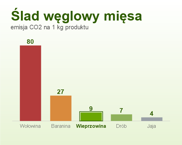 Ślad węglowy wieprzowiny na tle innych mięs — fakty, które warto znać