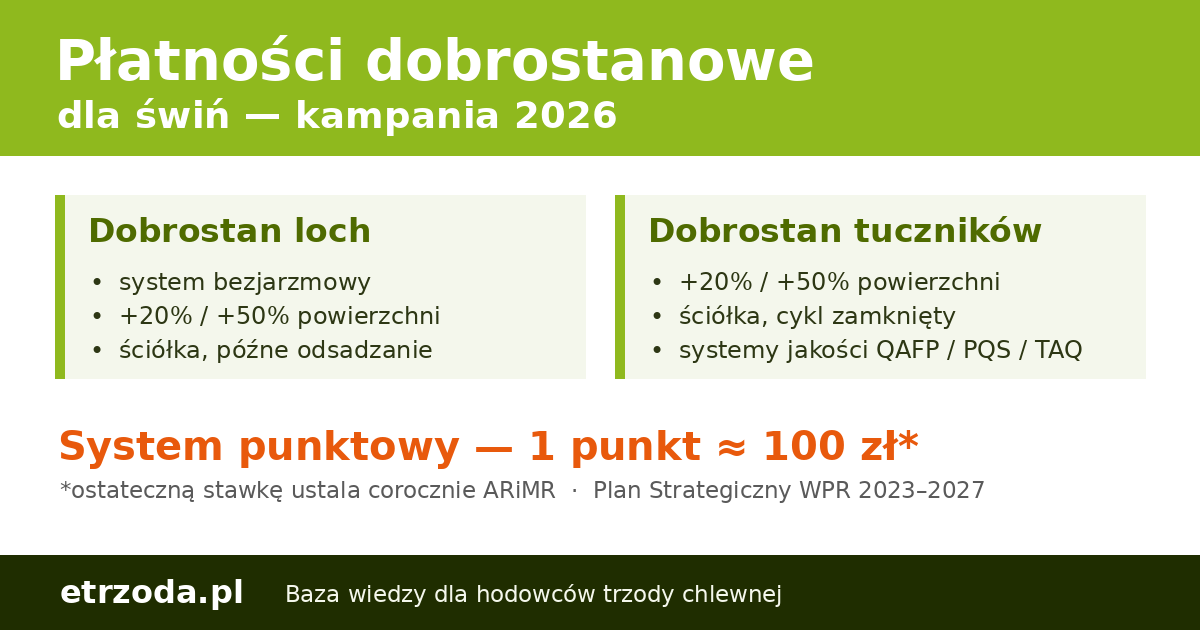 Płatności dobrostanowe dla świń 2026 — warianty Dobrostan loch i tuczników, system punktowy